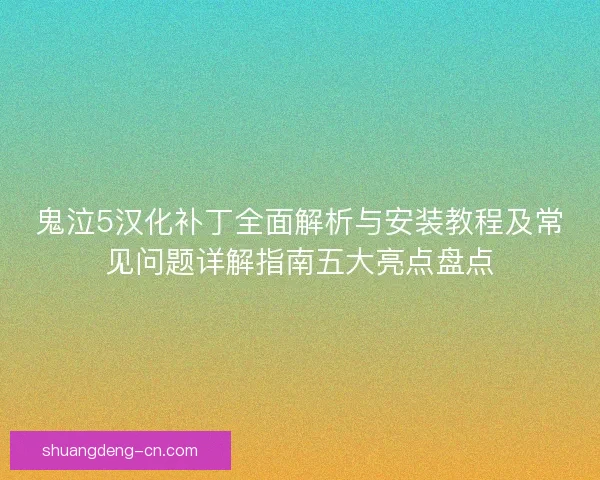 鬼泣5汉化补丁全面解析与安装教程及常见问题详解指南五大亮点盘点